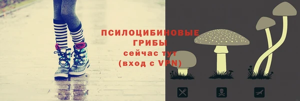 амф Балахна
