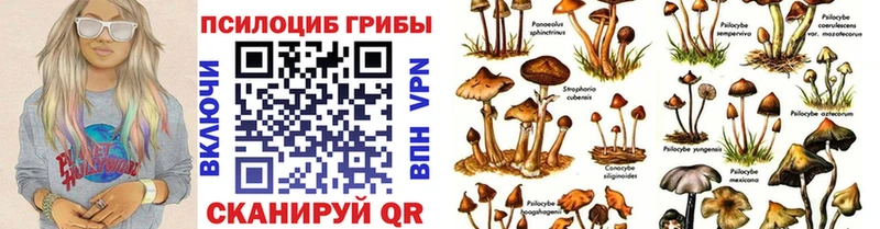 Псилоцибиновые грибы GOLDEN TEACHER  blacksprut как войти  Кремёнки 